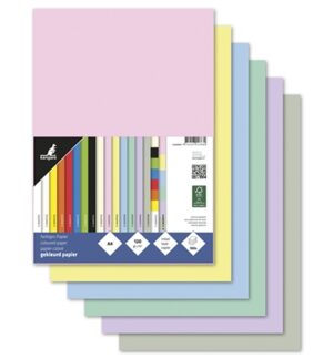 Papier & Karton