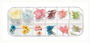 Foamtastic Specials Cornflower And 5 Petaled Flowers