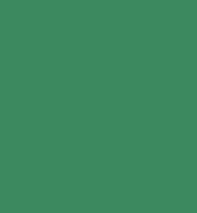 Foam 20x30cm X 2mm Green