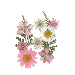 Droogbloemen Licht Roze Vacuumverpakt