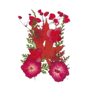 Droogbloemen Rood Vacuumverpakt