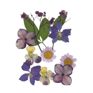 Droogbloemen Paars Vacuumverpakt