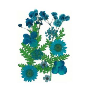 Droogbloemen Blauw Vacuumverpakt